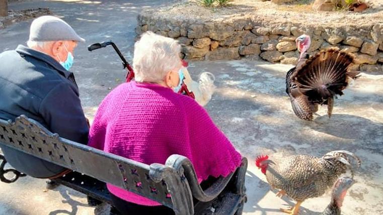 "La granja de AFA La Rambla": cuidado de animales como terapia para personas con Alzheimer
