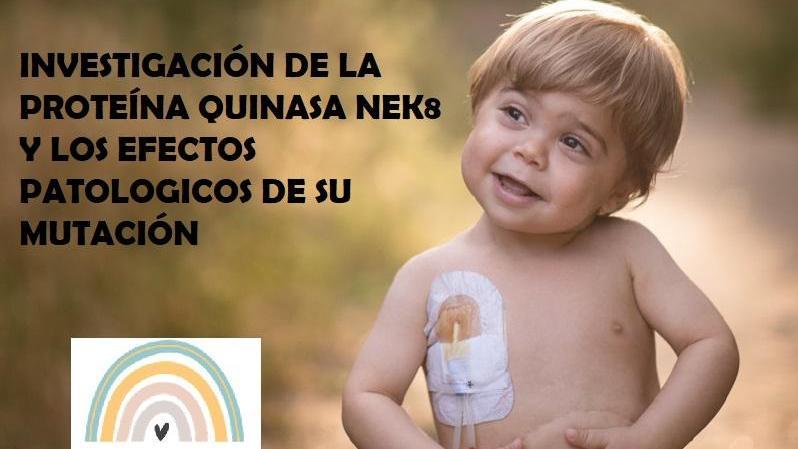 Proyecto de investigación de la proteína quinasa NEK8 y los efectos patológicos de su mutación