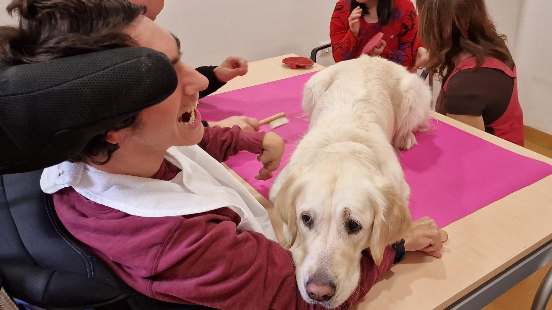 Programa de ocio asistido con animales para personas adultas con discapacidad severa
