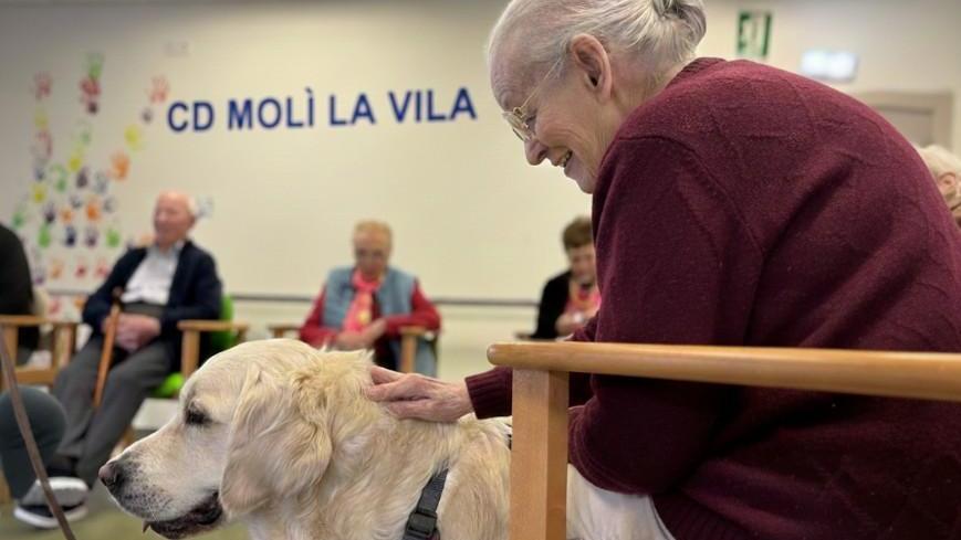 Programa de terapia asistida con animales para personas con enfermedades neurodegenerativas