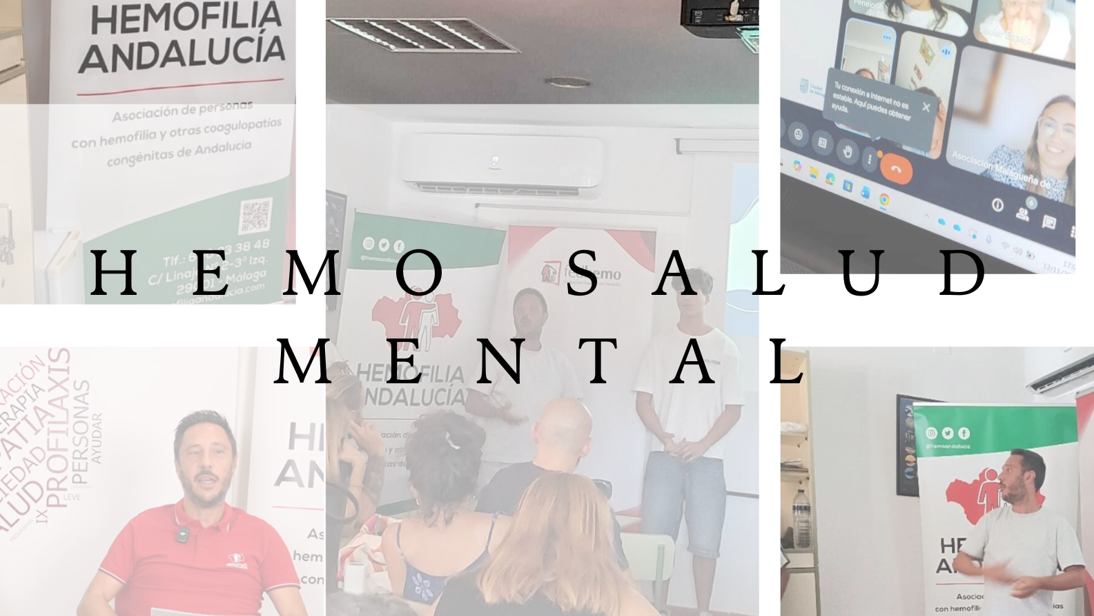 'Hemo salud mental' - Programa para mejorar la vida de personas con coagulopatías y familias