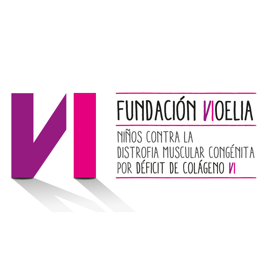 Fundación Noelia , niños contra la distrofia muscular congénita por déf