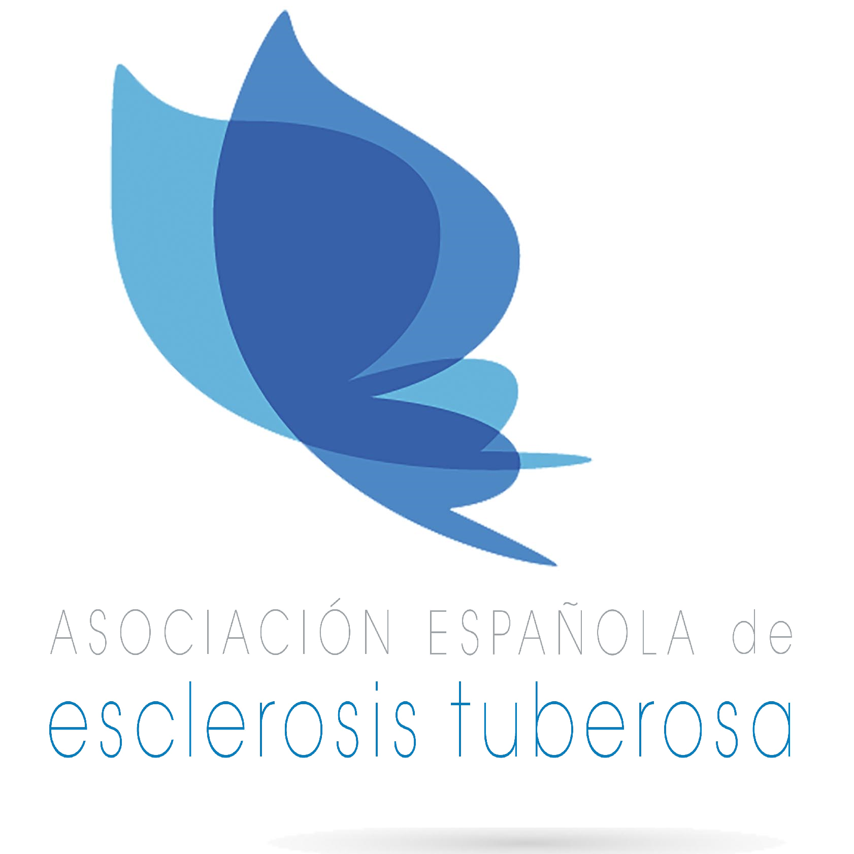 Asociación Española de Esclerosis Tuberosa - Su perfil. Votar, valora y comunicate