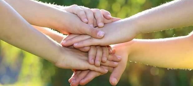 ASEM Aragón - Su perfil. Votar, valora y comunicate