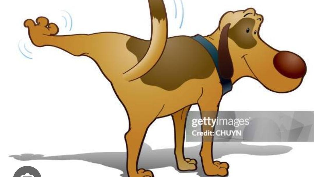 Parques para perros en todos los barrios